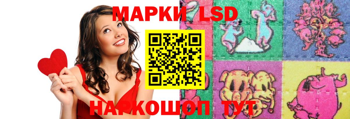 Лсд 25 экстази кислота  Вход с VPN  Щёлково 