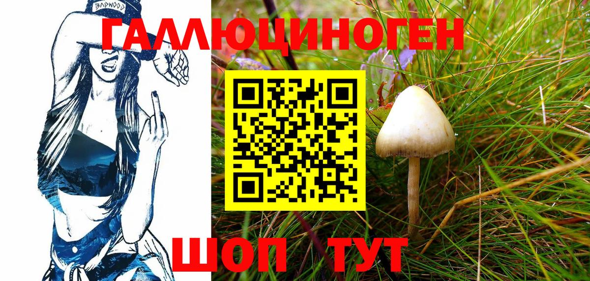 Щёлково  Галлюциногенные грибы Magic Shrooms  Вход с VPN 